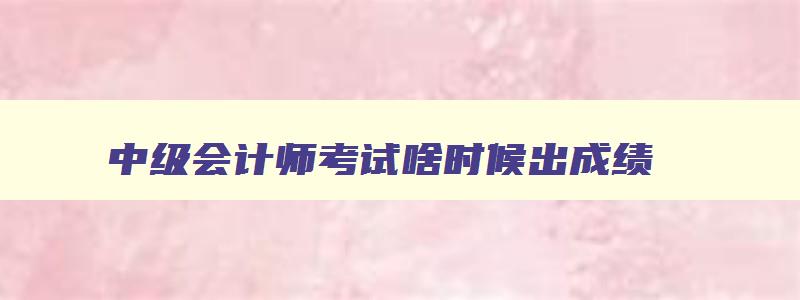 中级会计师考试啥时候出成绩,中级会计师考试结果公布时间是几号