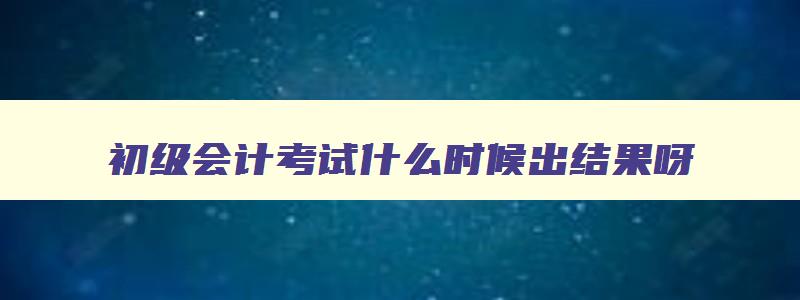 初级会计考试什么时候出结果呀,初级会计考试什么时候出结果