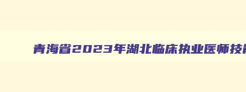 青海省2023年湖北临床执业医师技能考试时间表