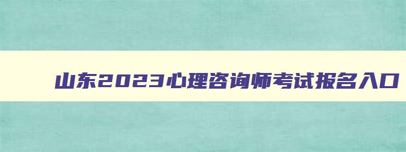 山东2023心理咨询师考试报名入口