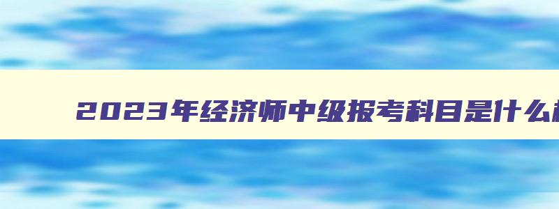 2023年经济师中级报考科目是什么样的,2023年经济师中级报考科目是什么