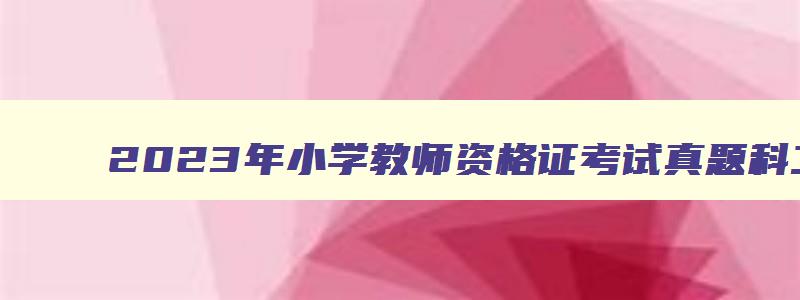 2023年小学教师资格证考试真题科二,2023年小学教师资格证考试真题