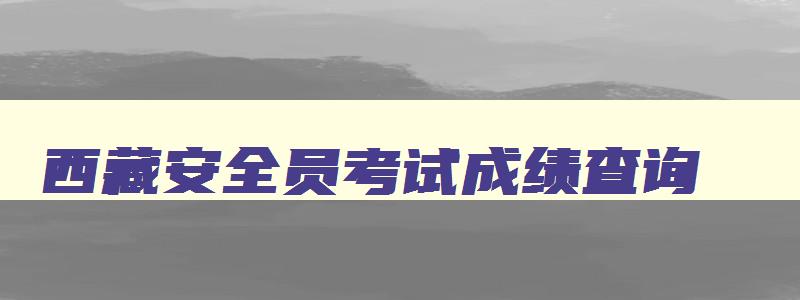 西藏安全员考试成绩查询,西藏安全工程师考试成绩查询时间