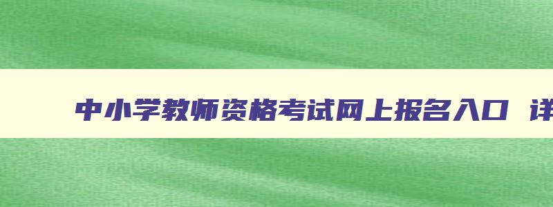 中小学教师资格考试网上报名入口