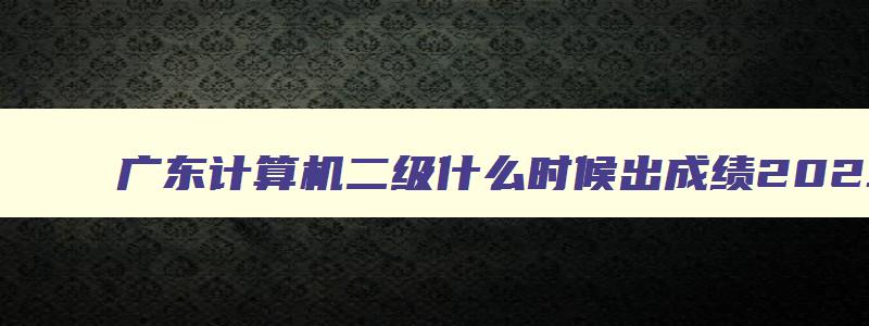 广东计算机二级什么时候出成绩2023