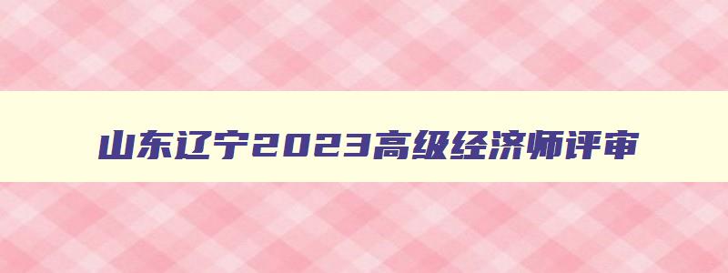 山东辽宁2023高级经济师评审