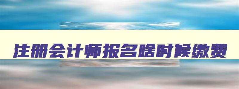 注册会计师报名啥时候缴费,注册会计师几号缴费