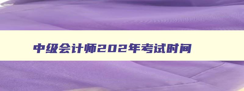 中级会计师202年考试时间,2023年中级会计什么时候考试