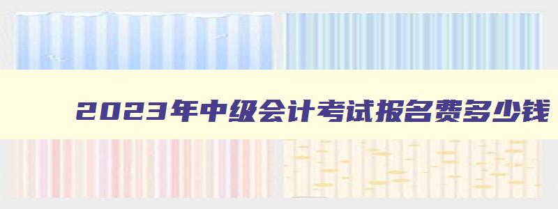 2023年中级会计考试报名费多少钱