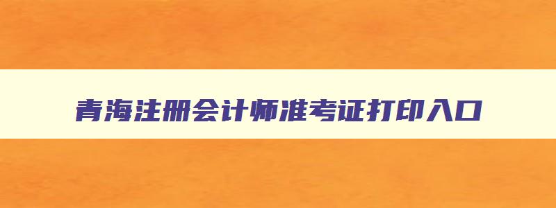 青海注册会计师准考证打印入口