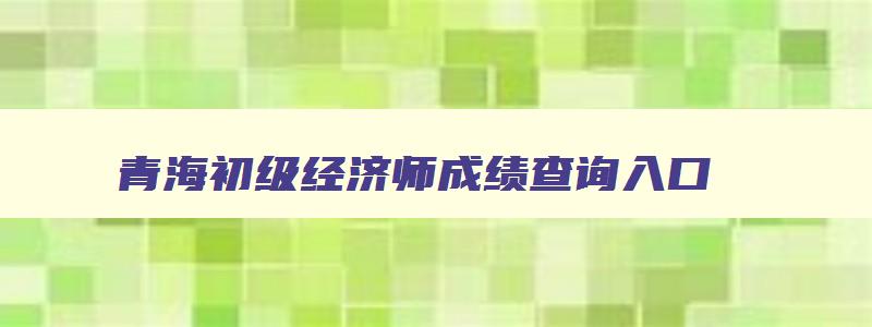 青海初级经济师成绩查询入口,青海初级经济师成绩查询