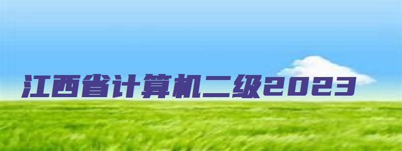 江西省计算机二级2023（江西省计算机二级2023年考试时间）