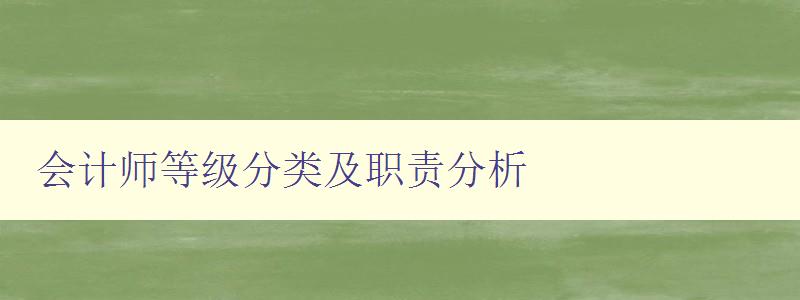 会计师等级分类及职责分析