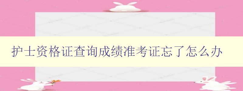 护士资格证查询成绩准考证忘了怎么办