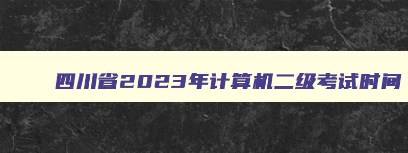 四川省2023年计算机二级考试时间,四川2023年计算机二级成绩查询时间