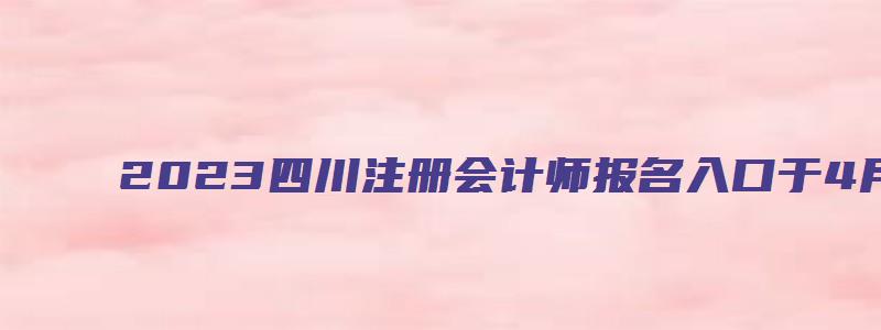 2023四川注册会计师报名入口于4月28日关闭（2023四川注册会计师报名时间）(1)