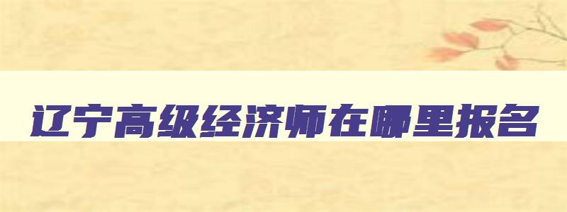 辽宁高级经济师在哪里报名