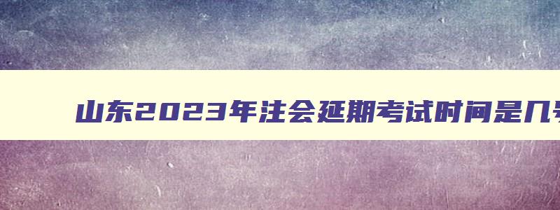 山东2023年注会延期考试时间是几号到几号,山东2023年注会延期考试时间是几号