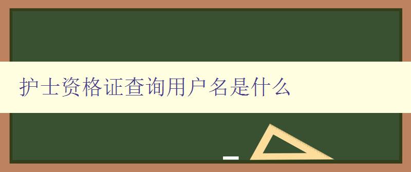 护士资格证查询用户名是什么