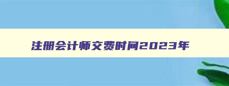 注册会计师交费时间2023年