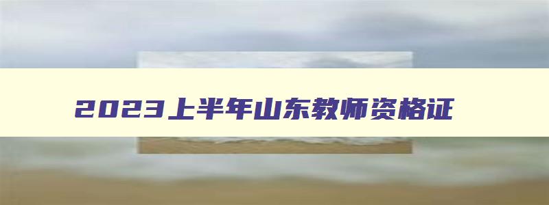 2023上半年山东教师资格证