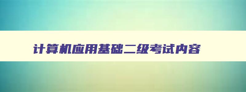 计算机应用基础二级考试内容,计算机应用基础二级