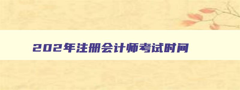 202年注册会计师考试时间,202年注册会计师考试