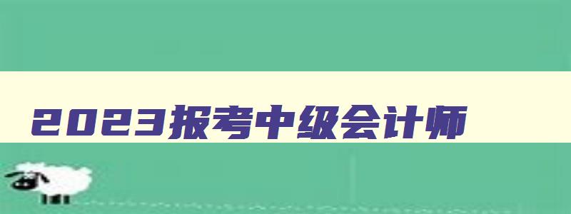 2023报考中级会计师,2023年报考中级会计师的条件有哪些