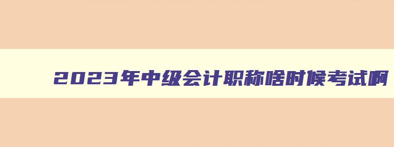 2023年中级会计职称啥时候考试啊