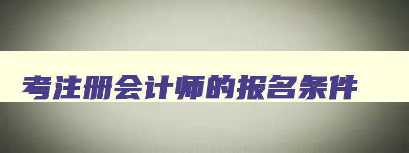 考注册会计师的报名条件