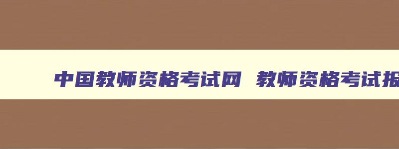 中国教师资格考试网