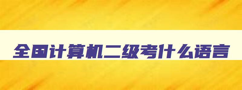 全国计算机二级考什么语言,全国计算机二级考什么