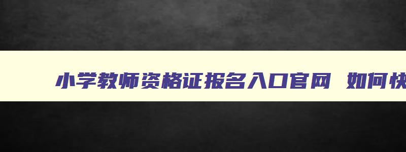 小学教师资格证报名入口官网