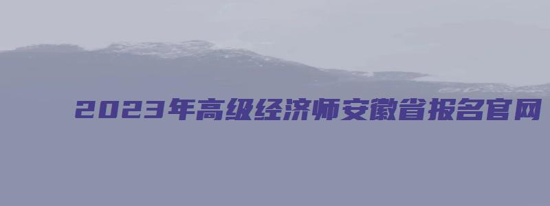 2023年高级经济师安徽省报名官网（安徽省2023年高级经济师报名时间）