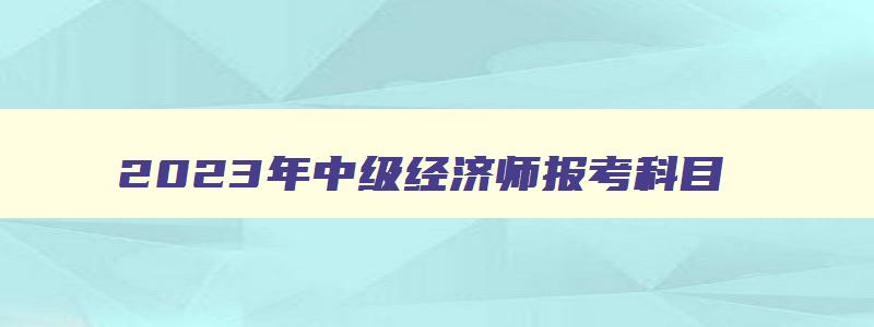 2023年中级经济师报考科目