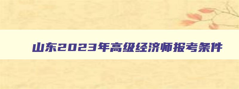 山东2023年高级经济师报考条件,山东今年高级经济师报考条件