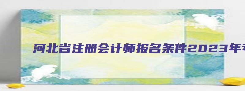 河北省注册会计师报名条件2023年考试时间（河北省注册会计师报名条件2023年考试时间）