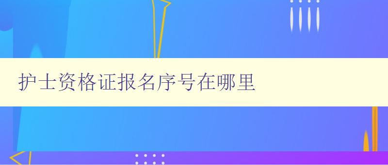 护士资格证报名序号在哪里