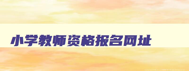 小学教师资格报名网址,2023年小学教师资格证考试报名入口在哪里