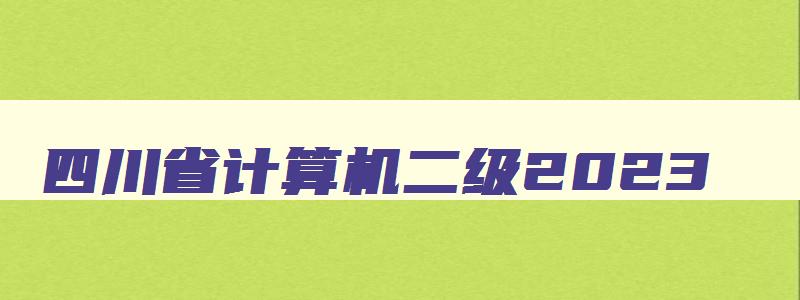 四川省计算机二级2023