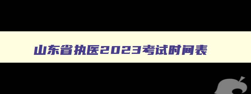 山东省执医2023考试时间表,山东省执医2023考试时间