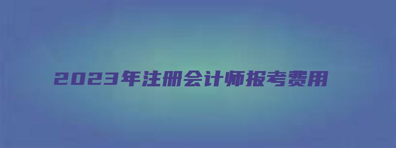 2023年注册会计师报考费用（2023年注册会计师报考费用是多少）