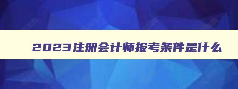 2023注册会计师报考条件是什么