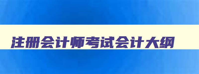 注册会计师考试会计大纲