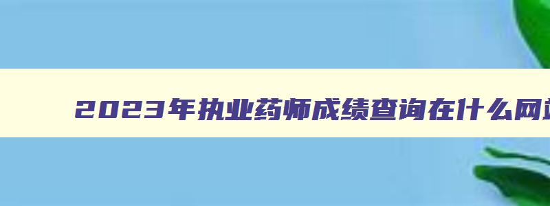 2023年执业药师成绩查询在什么网站可以查,2023年执业药师成绩查询在什么网站可以查