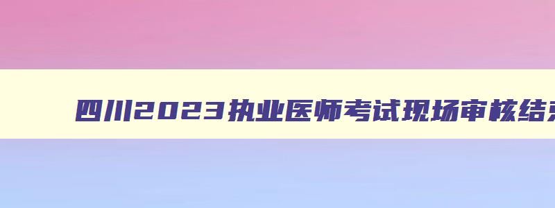 四川2023执业医师考试现场审核结束时间