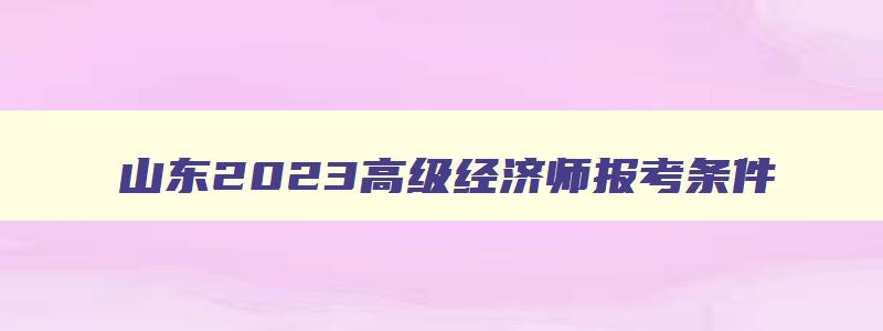 山东2023高级经济师报考条件,山东高级经济师考试内容