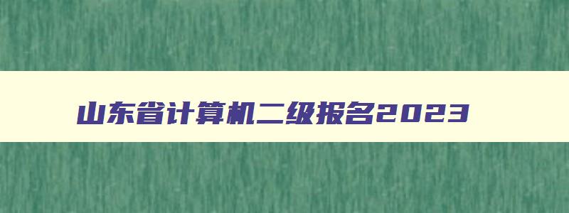 山东省计算机二级报名2023,山东省计算机二级查询时间