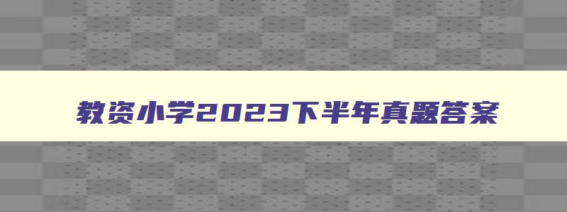 教资小学2023下半年真题答案,教资小学202a