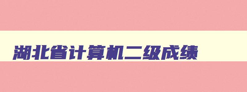 湖北省计算机二级成绩,2023年3月计算机二级成绩查询湖北